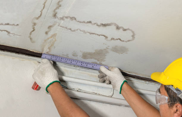 Reliable Water Damage contractor in Caddo, TX by Water Damage Irwin